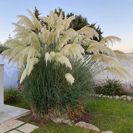 Villa Mare *